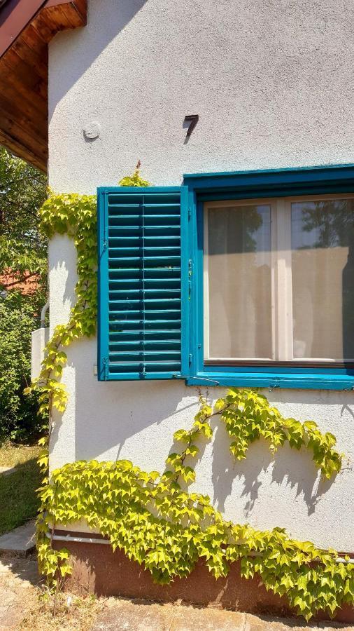 Villa Szalakóta Ház Balatongyörök Exterior foto